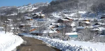 32 Hane ve 93 Seçmenli Köyde 6 Muhtar Adayı Çıktı, Köylünün Kafası Karıştı