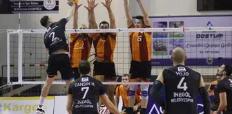 Voleybol: Efeler Ligi