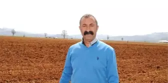 Tunceli'de Yapılan Ankette HDP Adayları, Komünist Başkan Fatih Mehmet Maçoğlu'na Fark Attı