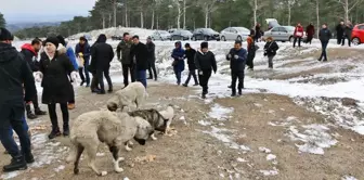 Cumhur İttifakı Adayından Örnek Davranış