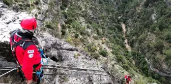 Kayalıklarda Mahsur Kalan Keçiler Akut Ekiplerince Kurtarıldı