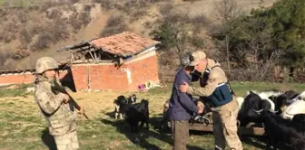 Kayıp Keçileri Jandarma Buldu