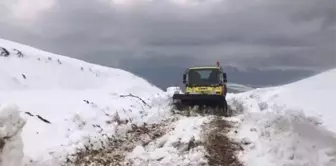 Siirt'te Kar Yağışı Nedeniyle Köylere Ulaşım Sağlanamıyor