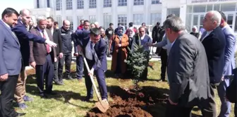 Mtü Vahap Küçük Myo'da Binlerce Fidan Toprakla Buluştu