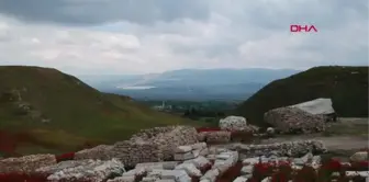 Denizli Antik Kent Laodikya Kır Çiçekleriyle Rengarenk Oldu