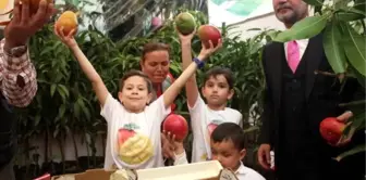 Yerli Mango Üreticiye Tanıtıldı