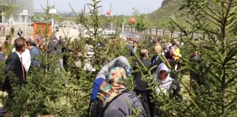 Karabük Valiliğinden, Şehit Ailelerini Duygulandıran Fidanlık