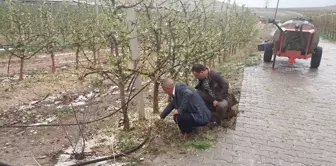 Niğde'de Dolu Meyve Ağaçlarında Hasara Neden Oldu