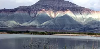 Nallıhan Kuş Cenneti Foto Safari' Günlerine Davet