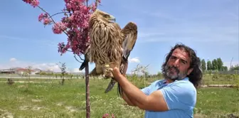 20 yıldır hayatını yaban hayvanlarına adadı