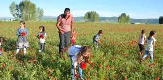 Muş Ovası kırmızıya büründü