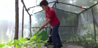 En organik okul...Öğrenciler bu okulda tavuk besliyor, sebze ve meyve yetiştiriyor