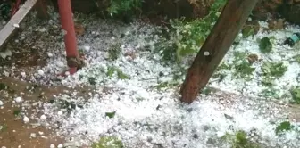 Ahırlı'da dolu tarım arazilerine zarar verdi