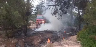 Orman yangını anında müdahaleyle söndürüldü