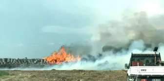 Söke'de pamuk çalıları alev alev yandı