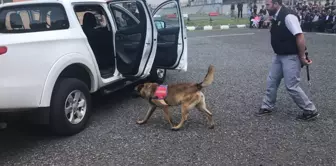 Patlayıcı madde ve bomba uzmanı köpeklerin gösterisi beğeni kazandı