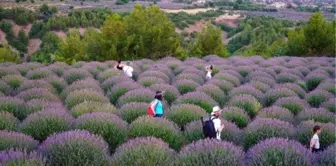 Isparta'da Lavanta Günleri hazırlık toplantısı