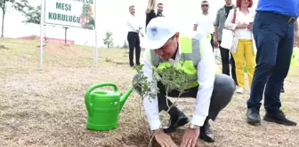 Muazzez İlmiye Çığ için 105 meşe fidanı dikildi