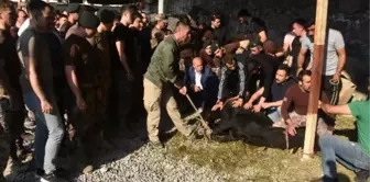 Hakkari'de şehitler için kurban kesildi