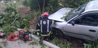 Refüje uçan otomobil ağaçları yerinden söktü: 1 yaralı