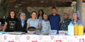 Babakale köyünde kadın dayanışması