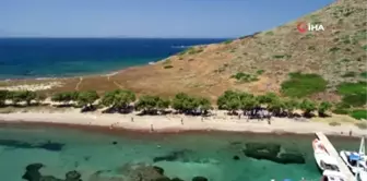 Bodrum Belediye Başkanı eline eldiveni takıp çöp topladı