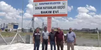 Karapınar'da hayvan barınağı sahipsiz hayvanlar için yuva oldu