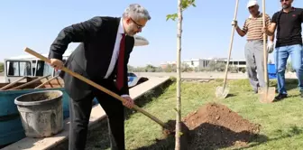 Hocaların hocası onuruna çınar fidanı dikildi