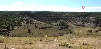 Büyük İskender'in kurduğu antik kent ortaya çıkarılıyor