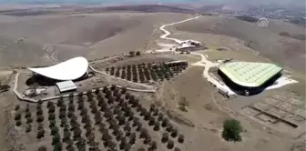 Göbeklitepe'yi dünyaya tanıtan profesör anılıyor - ŞANLIURFA