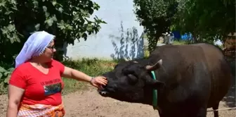 Çok yönlü kadın muhtar, takdir topluyor