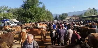 Tokat'ta kurbanlık satıcılarına sahte para uyarısı