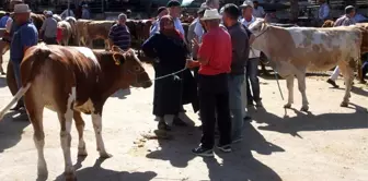 Kurban pazarında son gün yoğunluğu