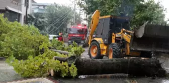 Sakarya'yı etkisi altına alan yağmur hayatı olumsuz etkiledi