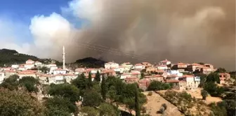 Bakan Pakdemirli, İzmir'deki orman yangını bölgesini havadan inceledi (6)