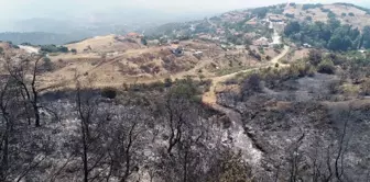 İzmir'de yangını söndürme çalışmaları sürüyor