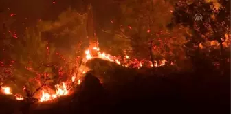 İzmir'deki orman yangını