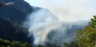 Marmaris'teki orman yangını söndürüldü