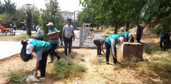 Cizre'de denetimli serbestlik yükümlüleri çevre temizliği yaptı