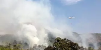 Antalya'da orman yangını