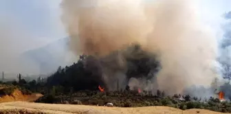 Hatay'da çıkan orman yangını kontrol altına alındı