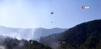 Hatay'da çıkan orman yangını kontrol altına alındı