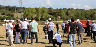 Bartın Üniversitesi'nde daha yeşil bir kampüs için kollar sıvandı