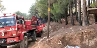 Kahramanmaraş'ta 5 dekar zeytinlik yandı