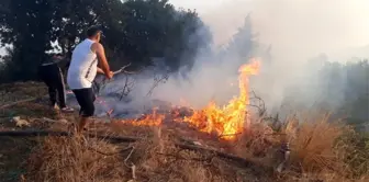 Antalya'da makilik alanda yangın