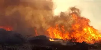 Makilik alandaki yangın mahalleyi dumanla kapladı