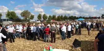 Sakarya Ziraat Odaları Başkanı Bayraktar: 'Fiyatların düşük olması üreticimizi mısır üretiminden...