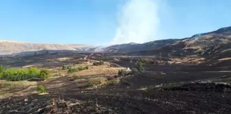 Kırıkkale'de bin dönümlük arazide anız yangını