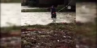 Dere yatağında mahsur kalan sokak köpeği kurtarıldı