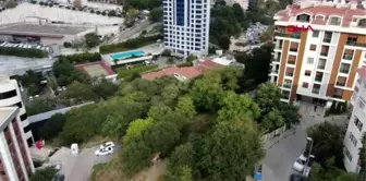 Park alanına alıcı çıkmadı